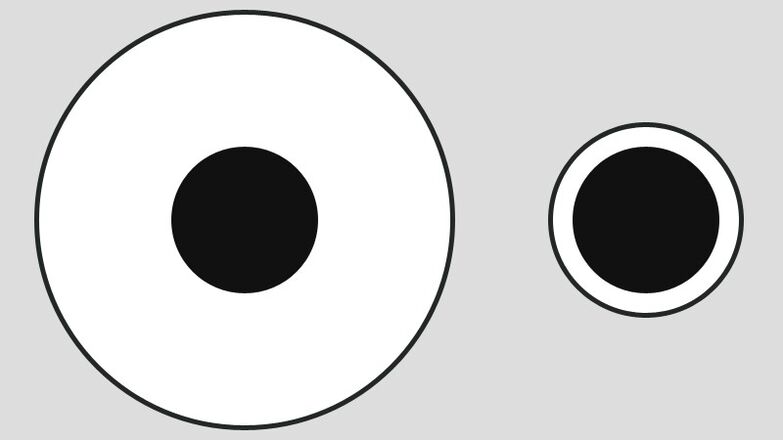 Илузија на Делбеуф - различна перцепција за големината на сервирање на големи и мали чинии