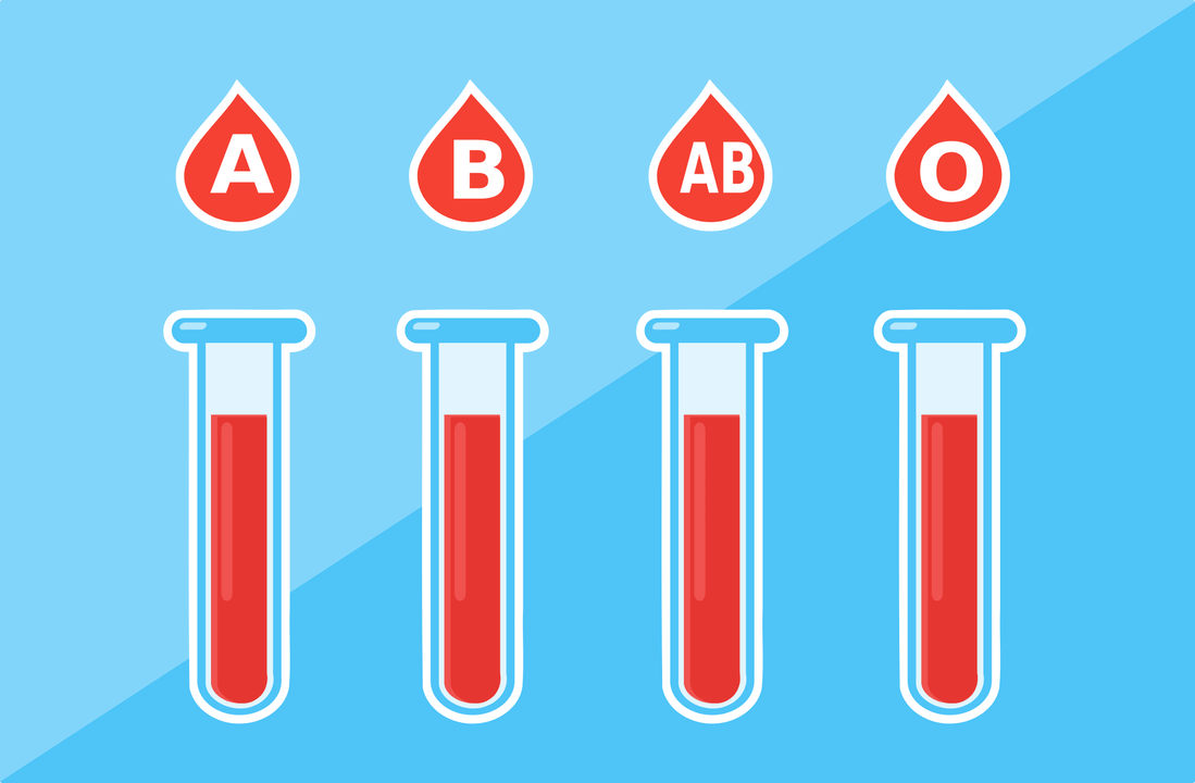 Постојат 4 крвни групи - А, Б, АБ, О